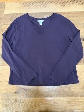 Athleta Women's Essential V-Neck Long Sleeve Top in Eggplant (Size L/T)